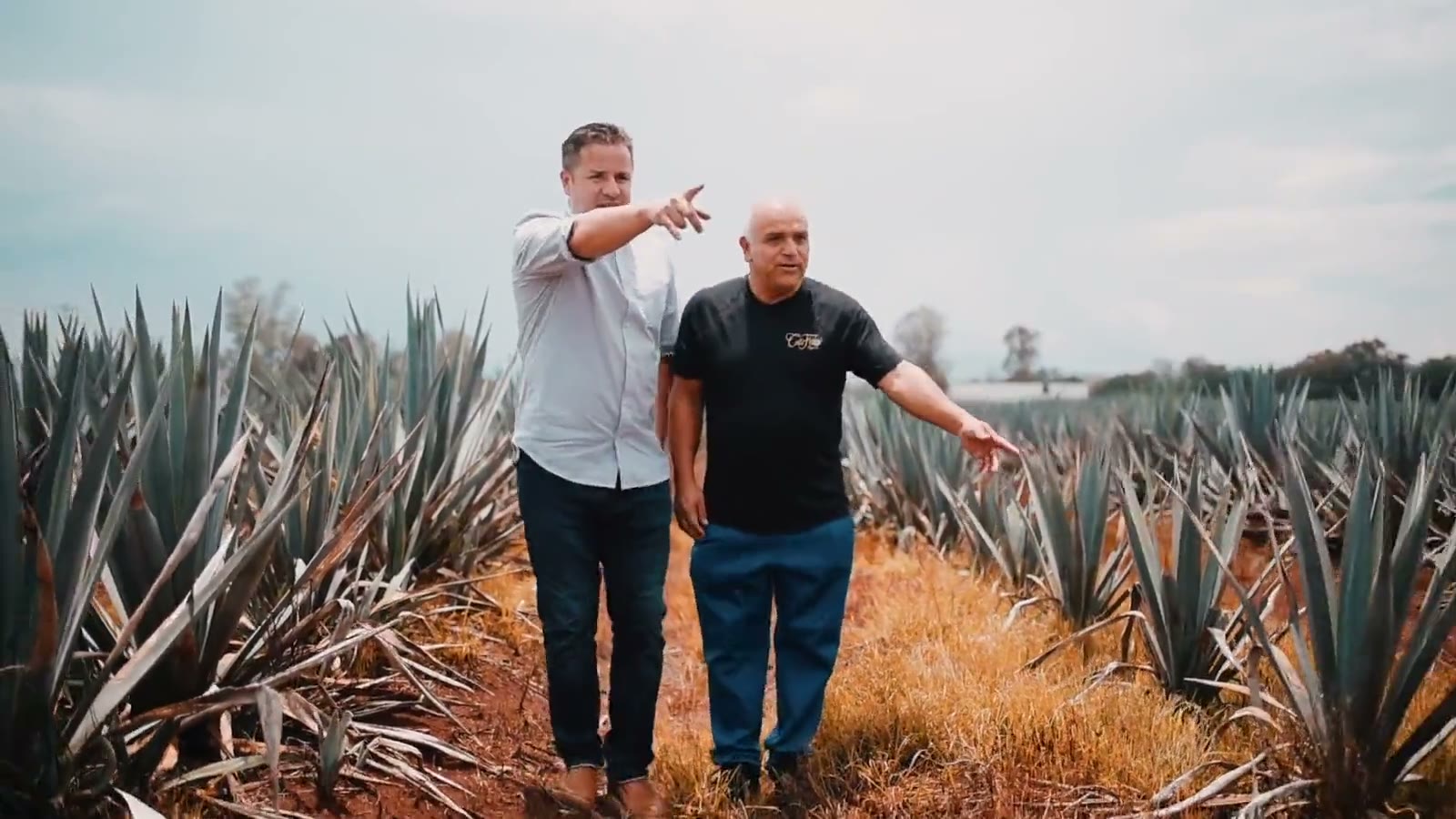 The CaliFino founders walking the blue agave rows in the Highlands of Jalisco