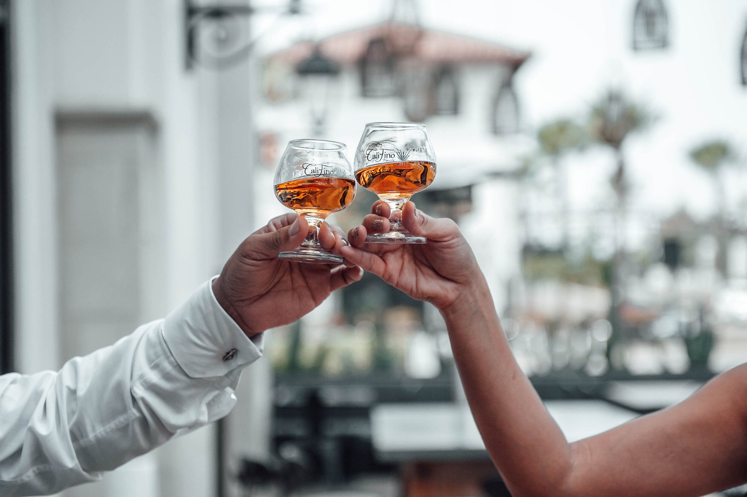 A toast over the Jalisco highlands